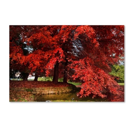 Philippe Sainte-Laudy 'October' Canvas Art,30x47